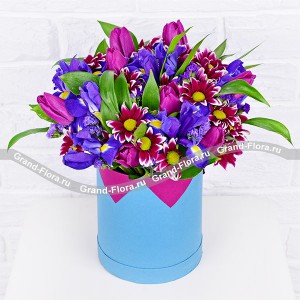 Звездопад - коробка с ирисами и фиолетовыми тюльпанами